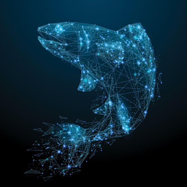 Fish image Fish image
