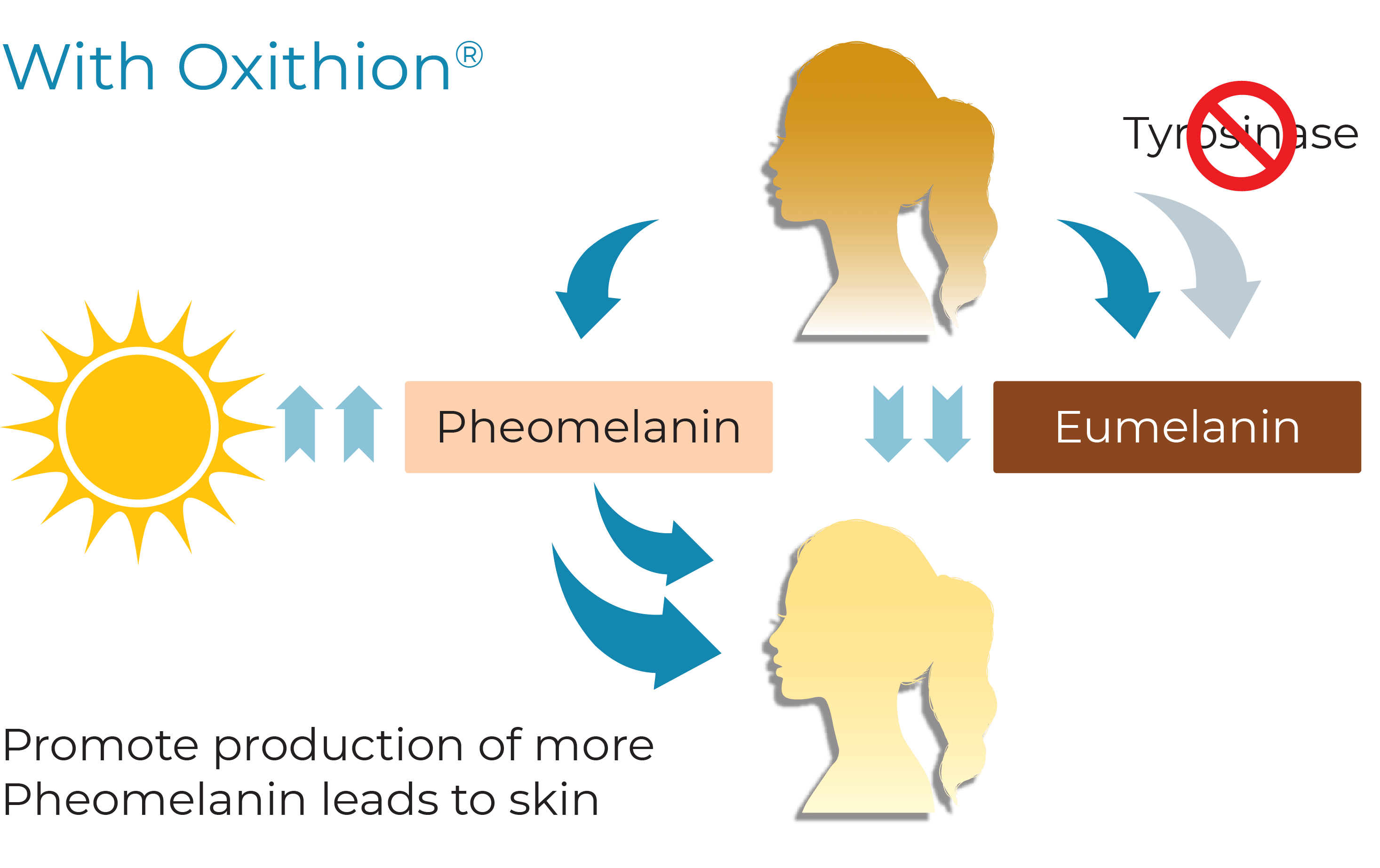 With Oxithion With Oxithion