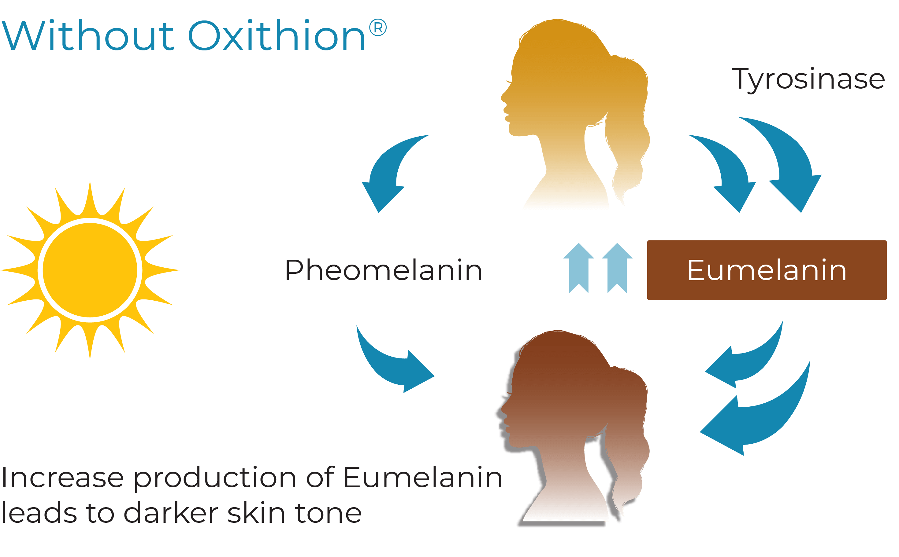 Without Oxithion Without Oxithion